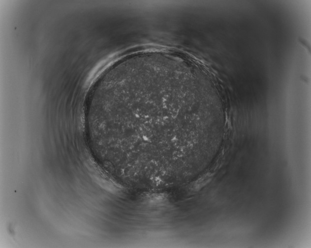 X0000100490247200806271243