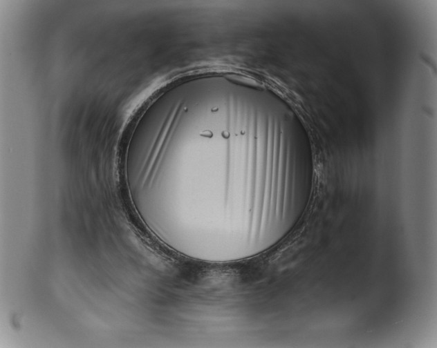 X0000100490248200806271243