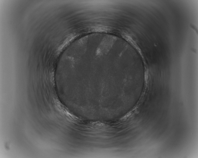 X0000100490249200806271243