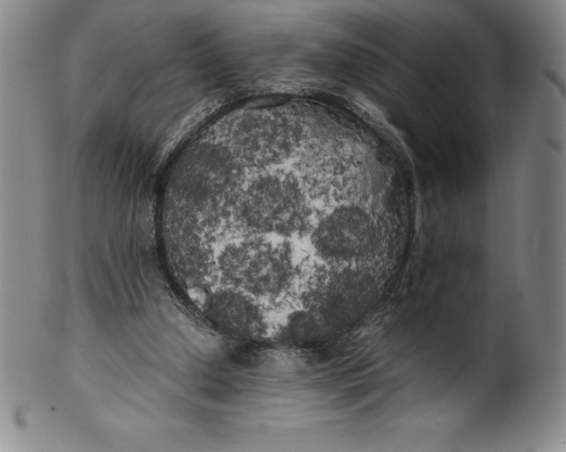 X0000100490250200806271243