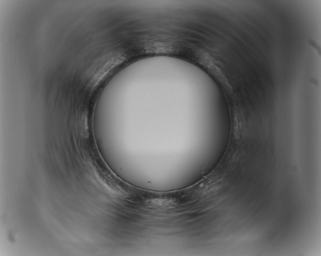 X0000100490251200806271243