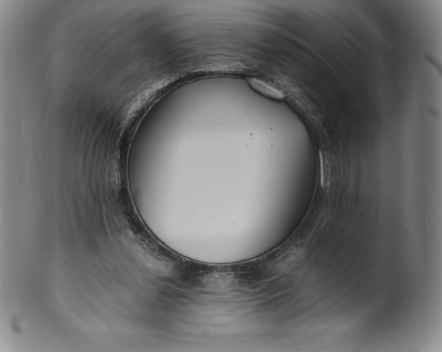 X0000100490252200806271243