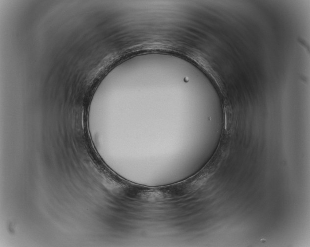 X0000100490253200806271243