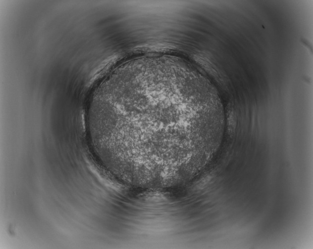 X0000100490254200806271243