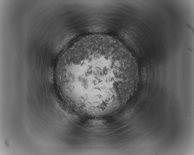 X0000100490255200806271243