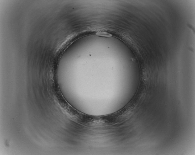 X0000100490256200806271243