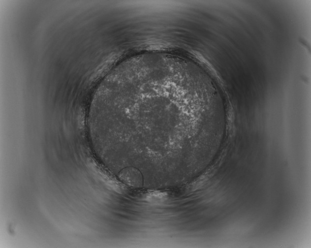 X0000100490257200806271243