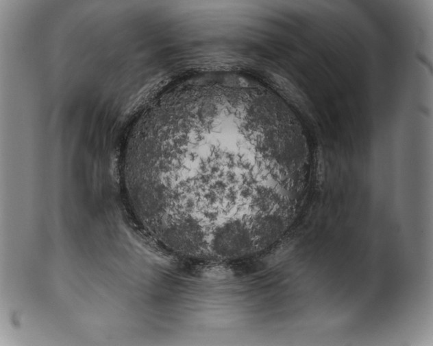 X0000100490258200806271243