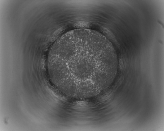 X0000100490259200806271243