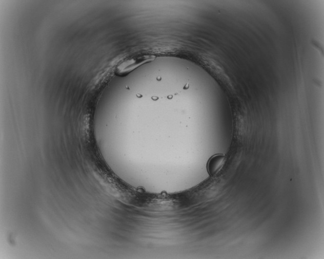 X0000100490260200806271243