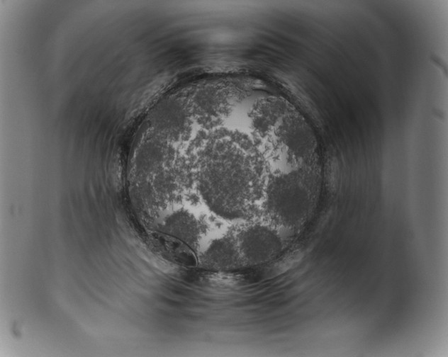 X0000100490261200806271243