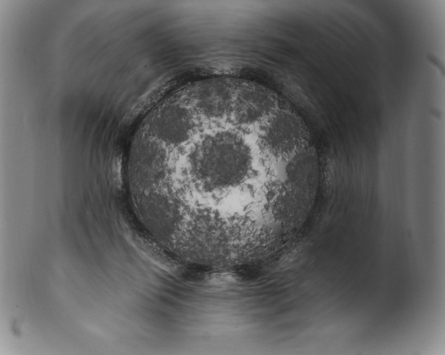 X0000100490262200806271243