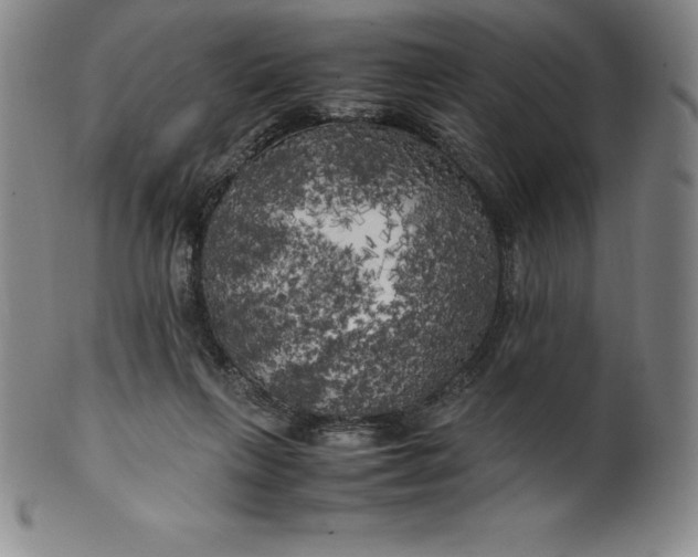 X0000100490263200806271243