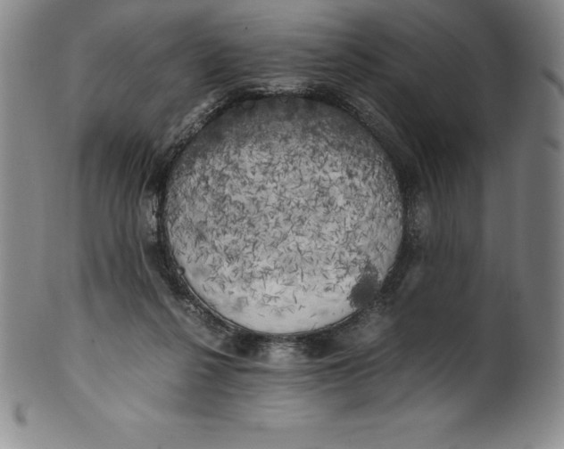 X0000100490264200806271243