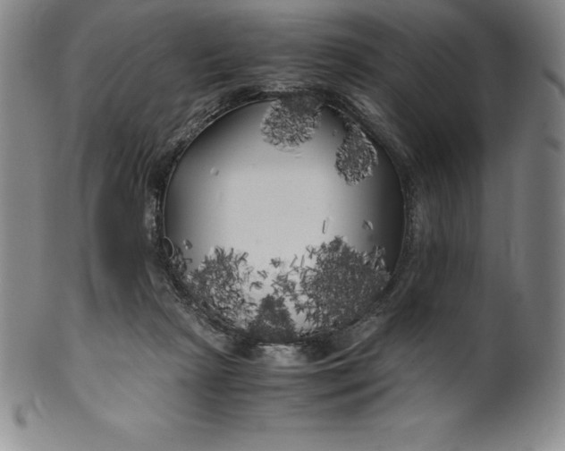 X0000100490265200806271243