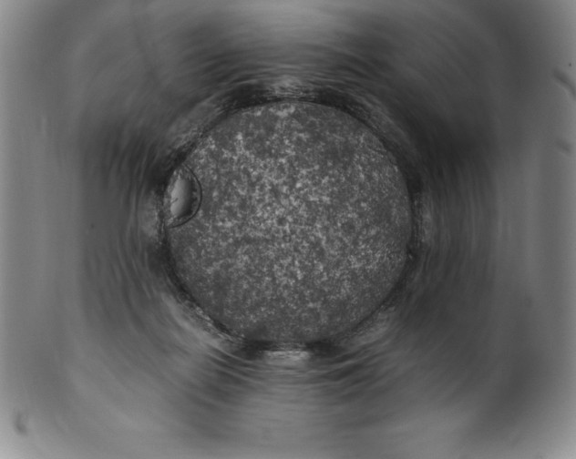 X0000100490266200806271243