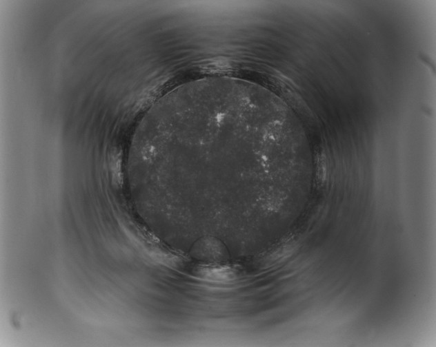 X0000100490267200806271243