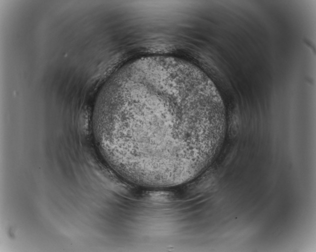 X0000100490268200806271243