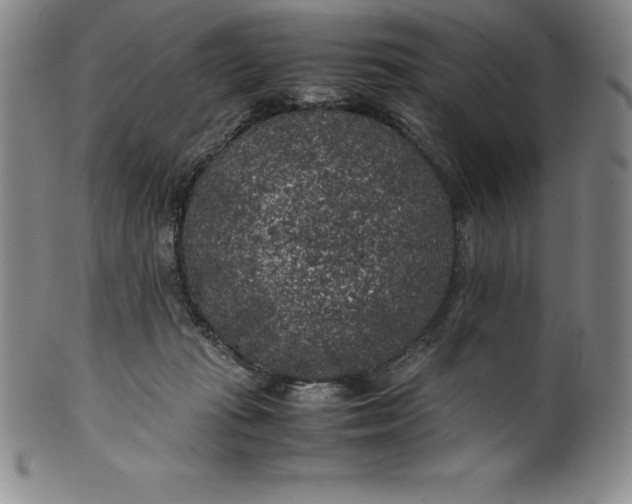 X0000100490269200806271244