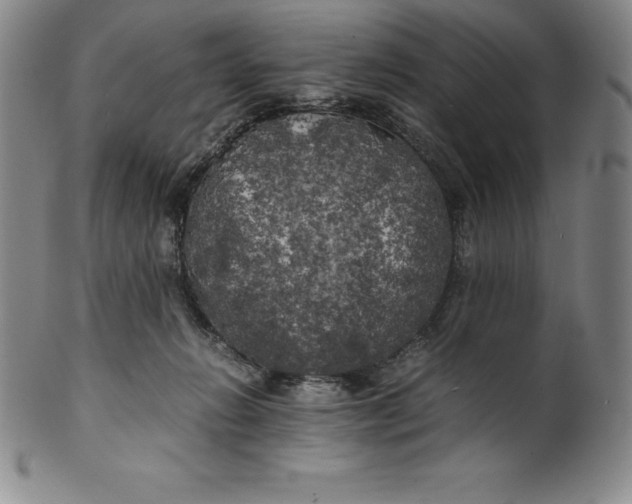 X0000100490270200806271244