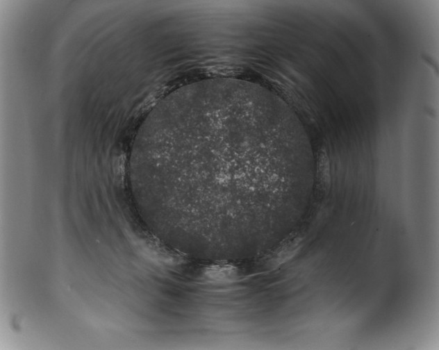 X0000100490271200806271244