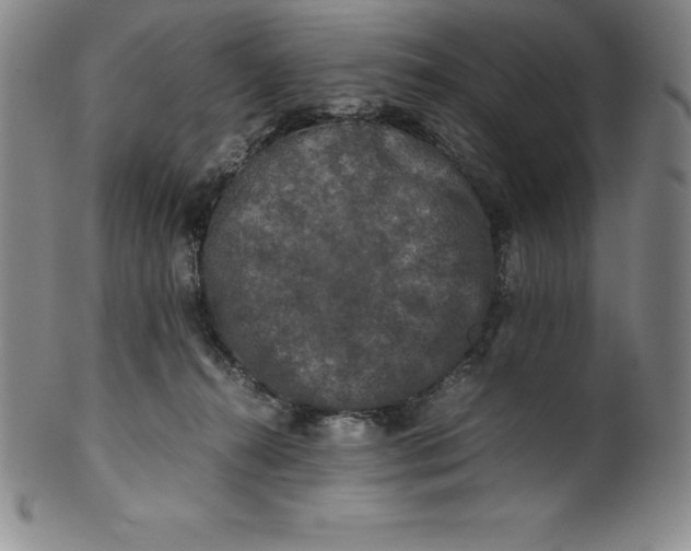 X0000100490272200806271244