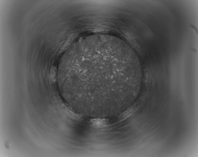 X0000100490273200806271244