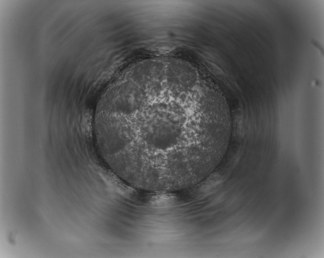 X0000100490274200806271244