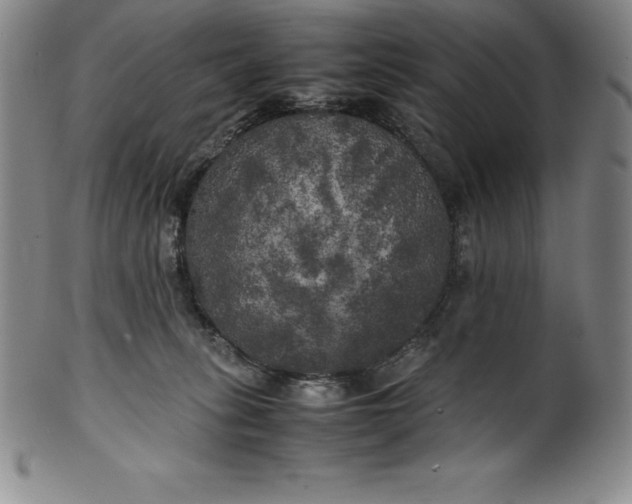 X0000100490275200806271244