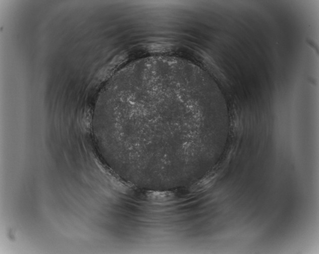 X0000100490277200806271244