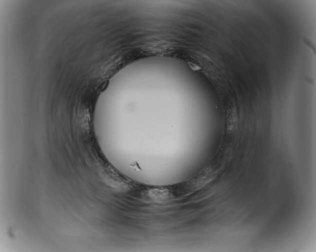 X0000100490279200806271244