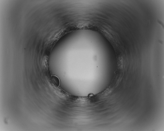 X0000100490280200806271244