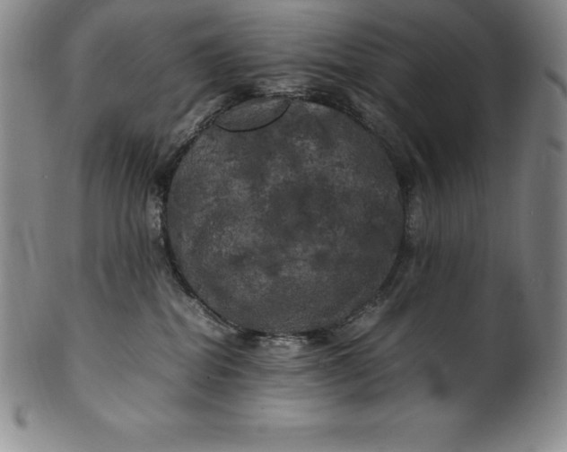 X0000100490282200806271244