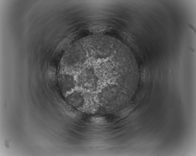 X0000100490283200806271244