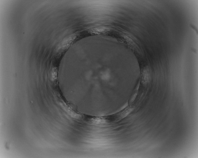 X0000100490284200806271244