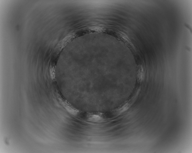 X0000100490285200806271244