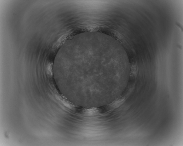 X0000100490286200806271244