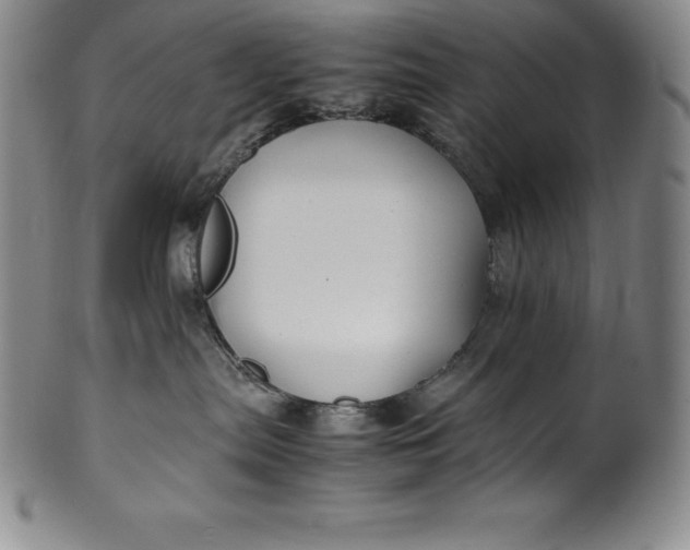 X0000100490287200806271244