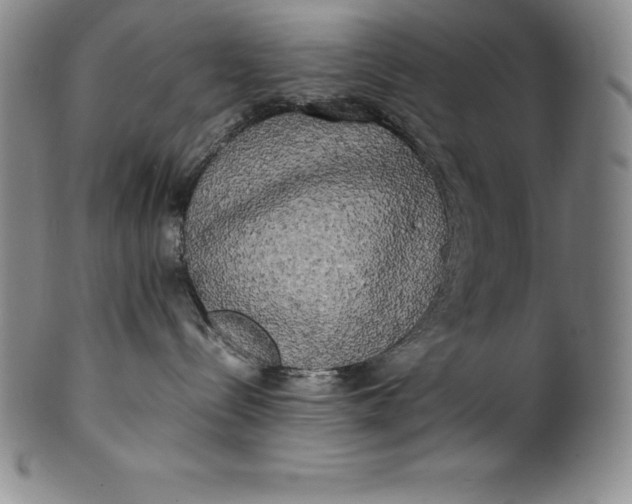 X0000100490288200806271244