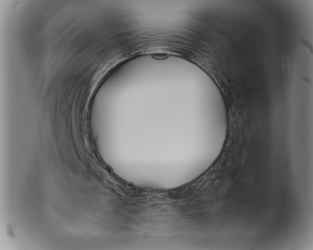 X0000100490289200806271243