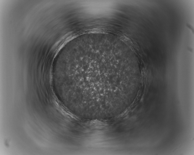 X0000100490290200806271243