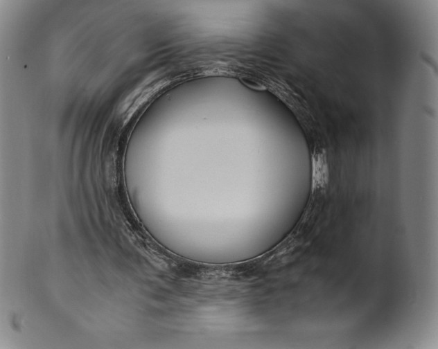 X0000100490291200806271243