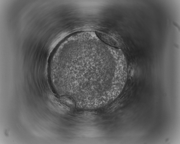 X0000100490292200806271243