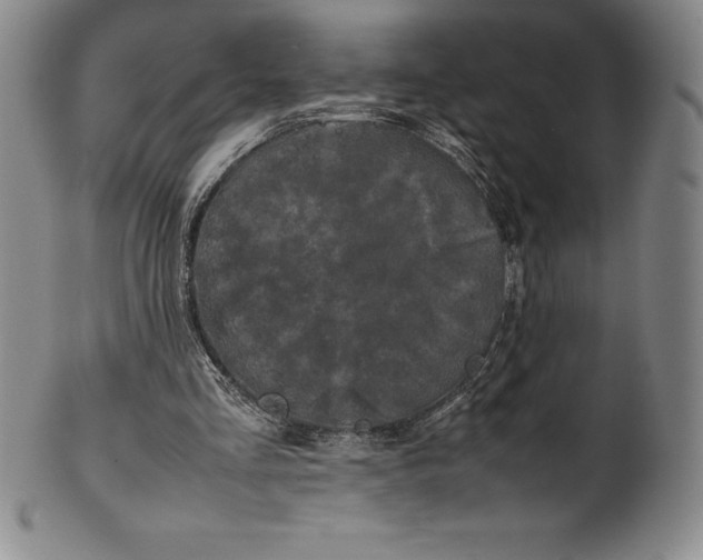 X0000100490293200806271243