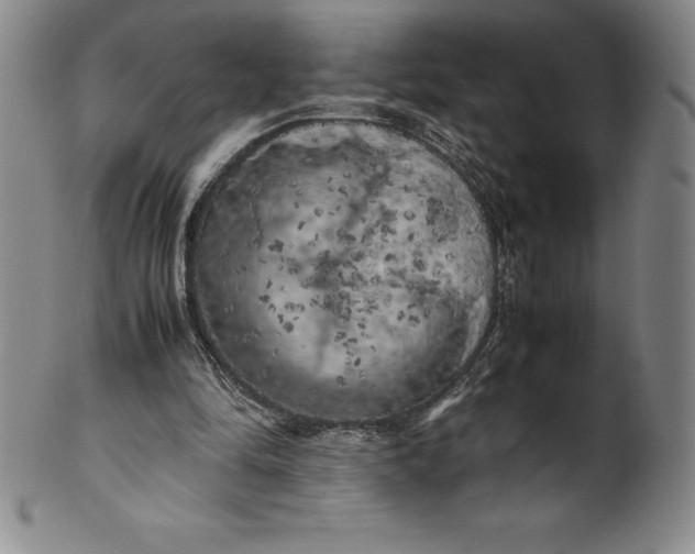 X0000100490294200806271243