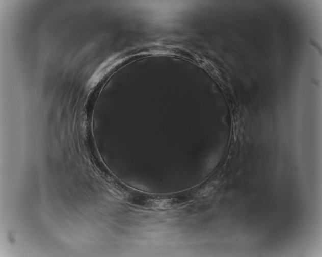 X0000100490295200806271243