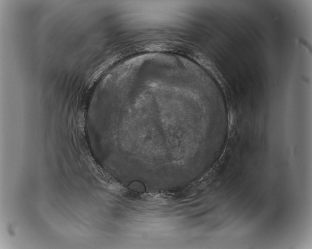 X0000100490297200806271243