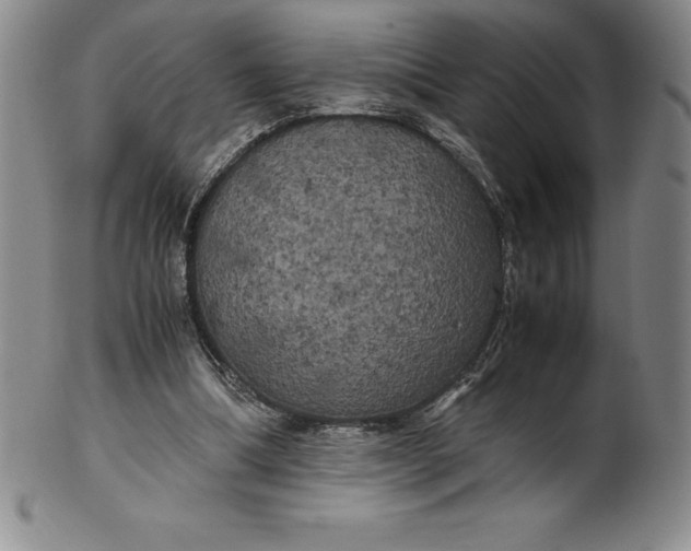 X0000100490298200806271243