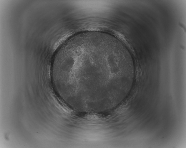 X0000100490299200806271243