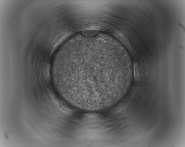 X0000100490300200806271243